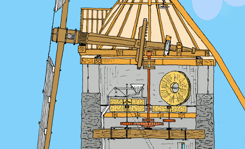 Coupe du Moulin de la Roche - détail