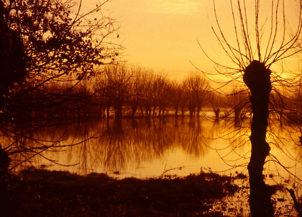 La Loire de René-Jean Gaillard